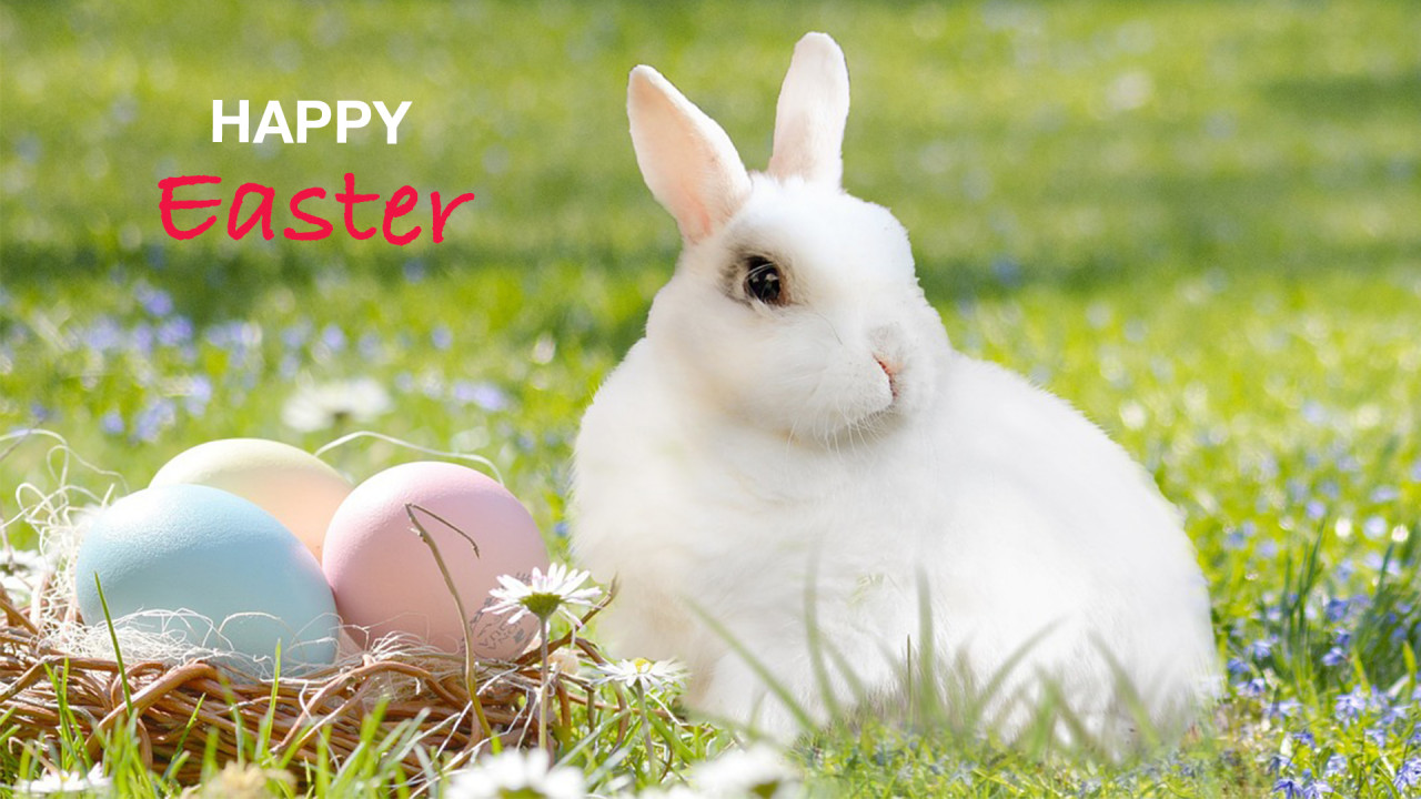 HAPPY EASTER.jpg